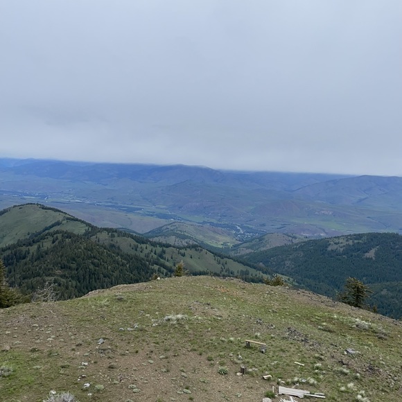 Meet your Posher, Kiley - Picture 1 of 1